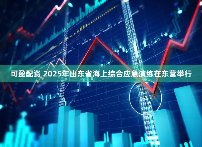 可盈配资 2025年山东省海上综合应急演练在东营举行