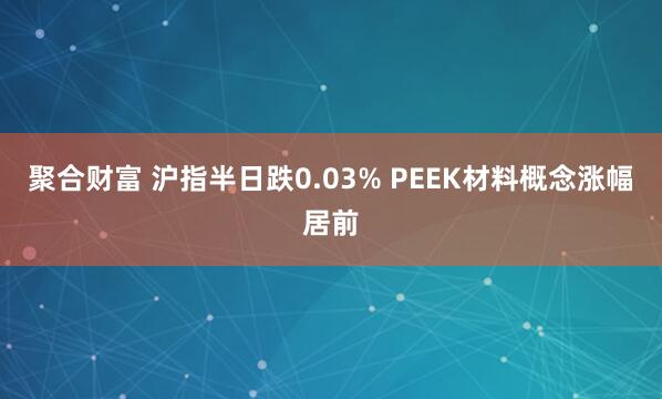聚合财富 沪指半日跌0.03% PEEK材料概念涨幅居前